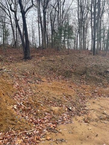 TBD SMOKEY ROW RD, Staunton, VA 24401