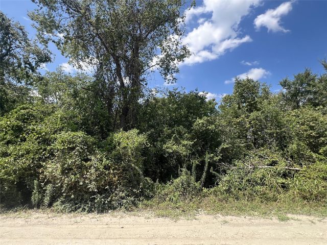 13657 County Road 164, Iola, TX 77861