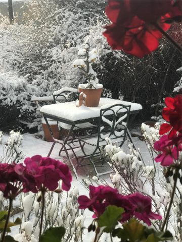 1300 Upper Canyon Road A&B, Santa Fe, NM 87501