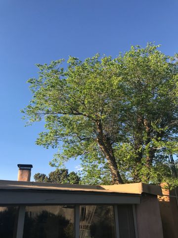 1300 Upper Canyon Road A&B, Santa Fe, NM 87501