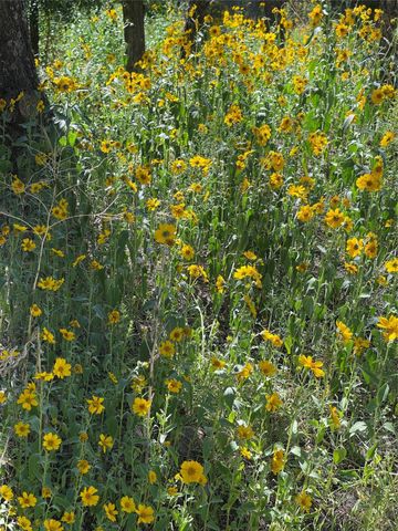 1300 Upper Canyon Road A&B, Santa Fe, NM 87501