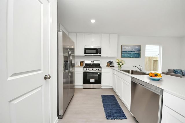 25312 Leather Leaf Court, Montgomery, TX 77316