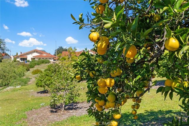 903 Crescent Bend, Fallbrook, CA 92028