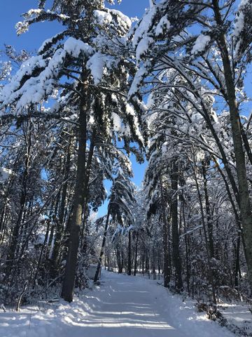 29741 County Road 3, Merrifield, MN 56465