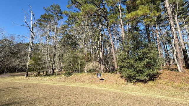 0 S Royale Greens Drive, Coldspring, TX 77331