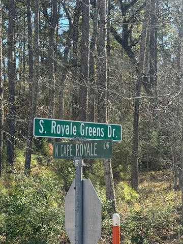 0 S Royale Greens Drive, Coldspring, TX 77331