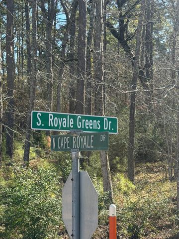 0 S Royale Greens Drive, Coldspring, TX 77331