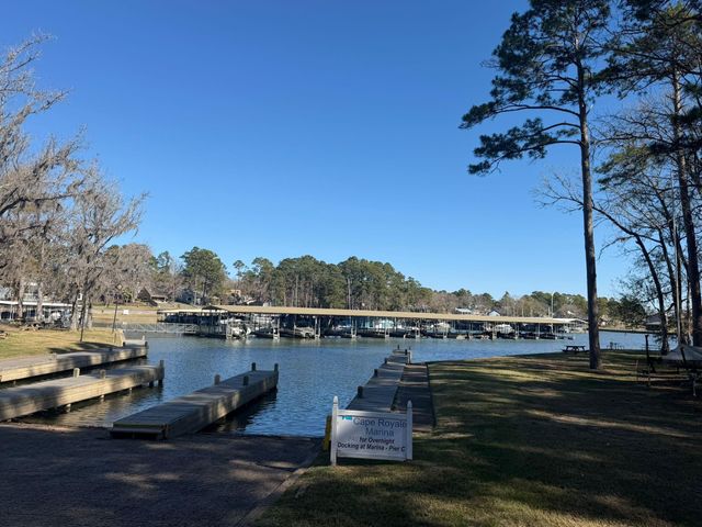 0 S Royale Greens Drive, Coldspring, TX 77331