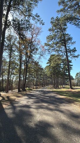 0 S Royale Greens Drive, Coldspring, TX 77331