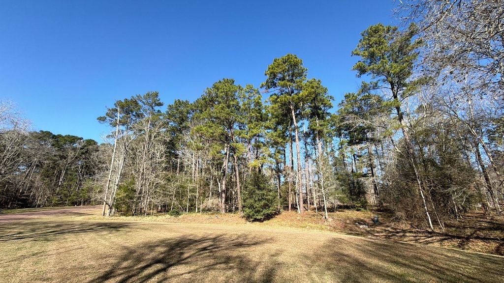 0 S Royale Greens Drive, Coldspring, TX 77331