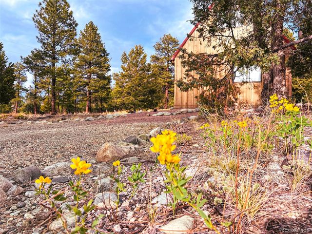 33 Big Bear Road, Mosca, CO 81146