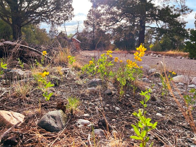 33 Big Bear Road, Mosca, CO 81146