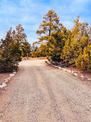 33 Big Bear Road, Mosca, CO 81146