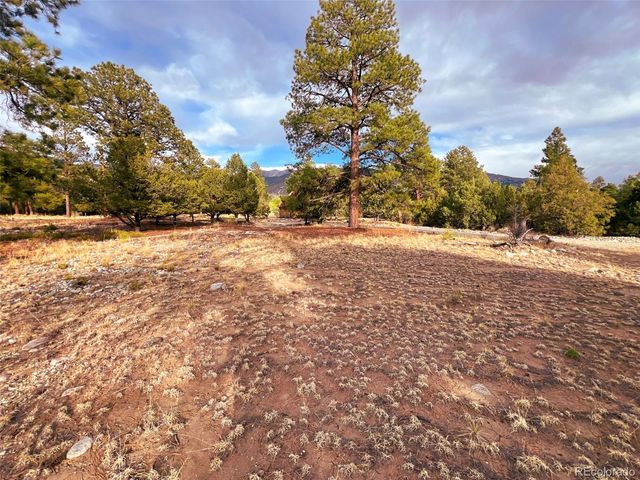 33 Big Bear Road, Mosca, CO 81146