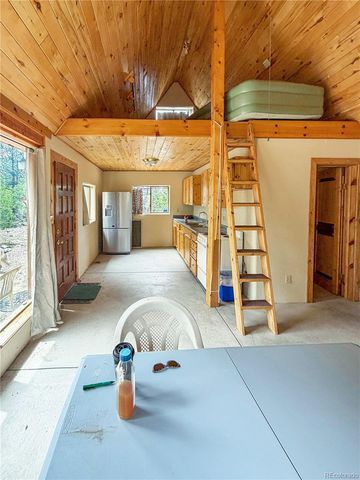 33 Big Bear Road, Mosca, CO 81146