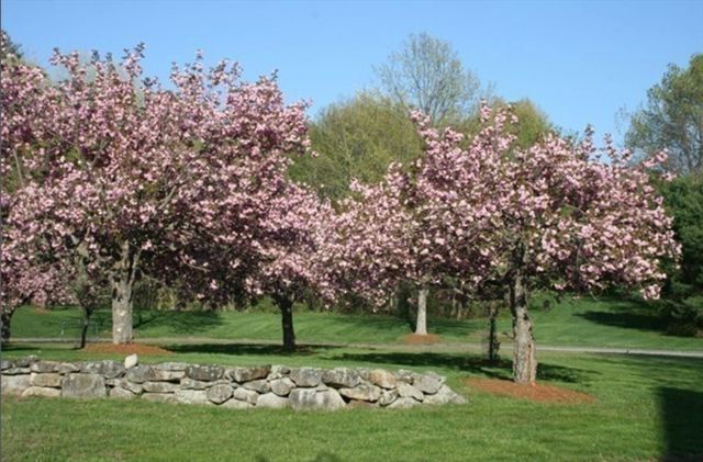 16 Bartkus Farm, Concord, MA 01742