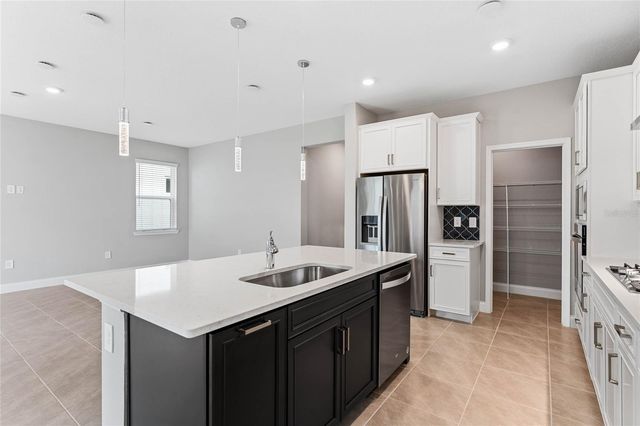 851 VINEYARD RIDGE ROAD, Minneola, FL 34715