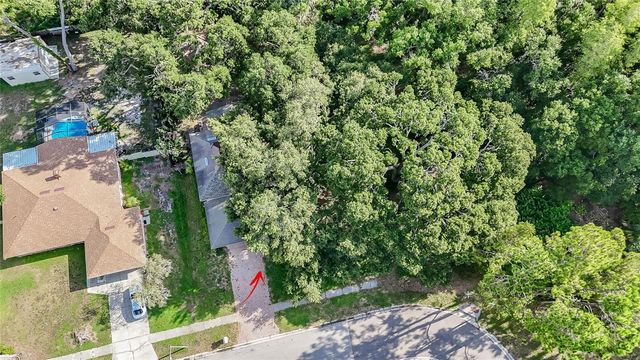 2501 WITHY COURT, Tampa, FL 33618