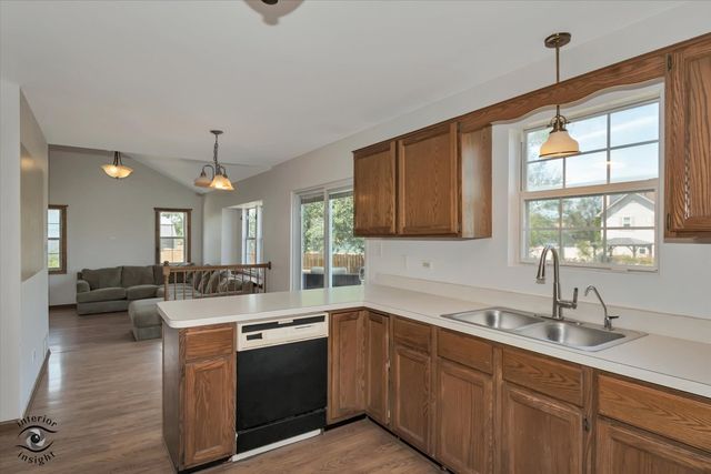 20532 Timber Mill Drive, Frankfort, IL 60423