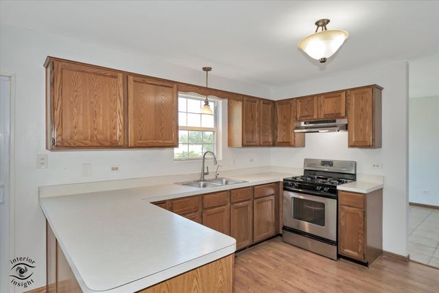 20532 Timber Mill Drive, Frankfort, IL 60423