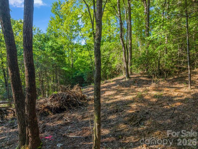 130 Summit Rise Road 9, Pisgah Forest, NC 28768