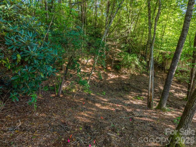 130 Summit Rise Road 9, Pisgah Forest, NC 28768