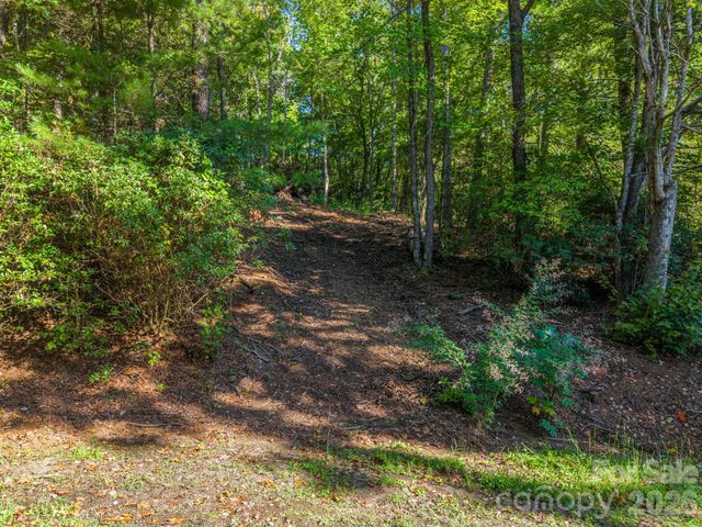 130 Summit Rise Road 9, Pisgah Forest, NC 28768