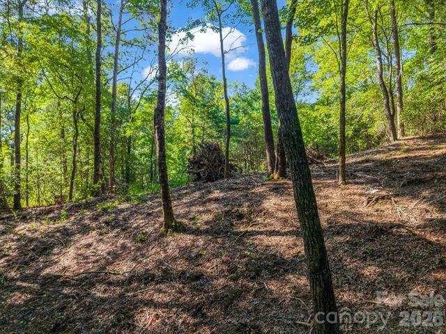 130 Summit Rise Road 9, Pisgah Forest, NC 28768