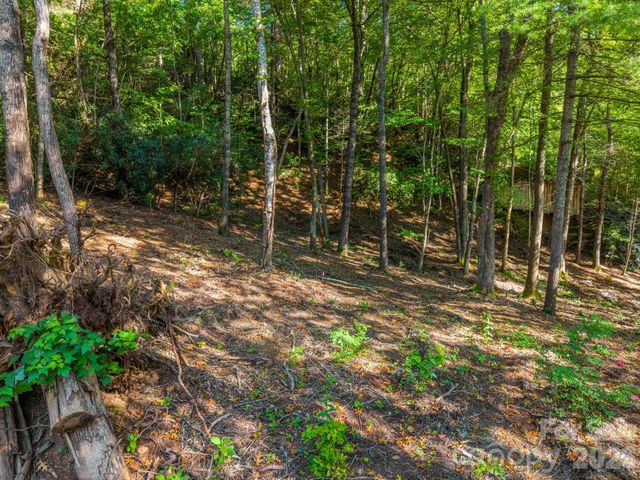 130 Summit Rise Road 9, Pisgah Forest, NC 28768