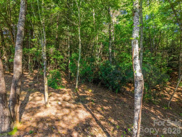 130 Summit Rise Road 9, Pisgah Forest, NC 28768
