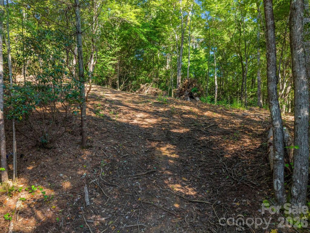 130 Summit Rise Road 9, Pisgah Forest, NC 28768