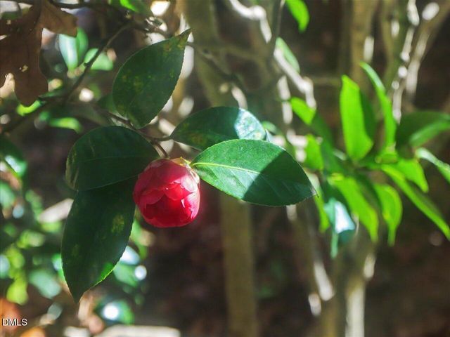 1005 Queensferry Road, Cary, NC 27511