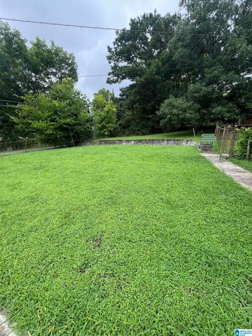 4813 6TH AVENUE, Birmingham, AL 35224