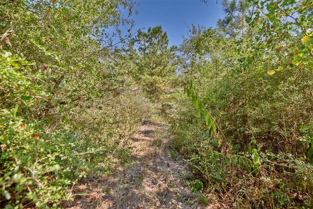 28850 Riley Road, Waller, TX 77484