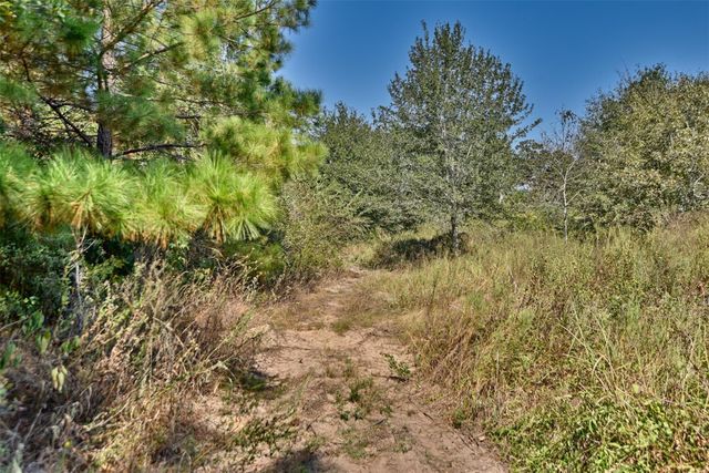 28850 Riley Road, Waller, TX 77484