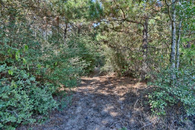 28850 Riley Road, Waller, TX 77484