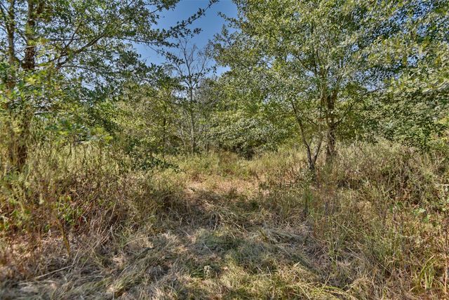 28850 Riley Road, Waller, TX 77484