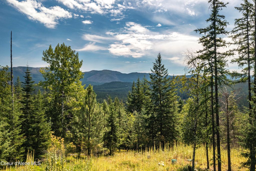 998 Lightning Peak Rd, Sandpoint, ID 83864