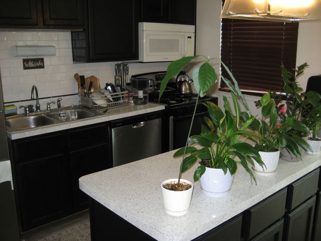 1980 Huntington Boulevard, Hoffman Estates, IL 60169