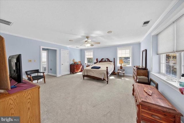 239 MT CARMEL RD, Luray, VA 22835