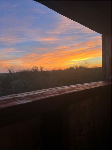 0 Blackbrush Spur, George West, TX 78022