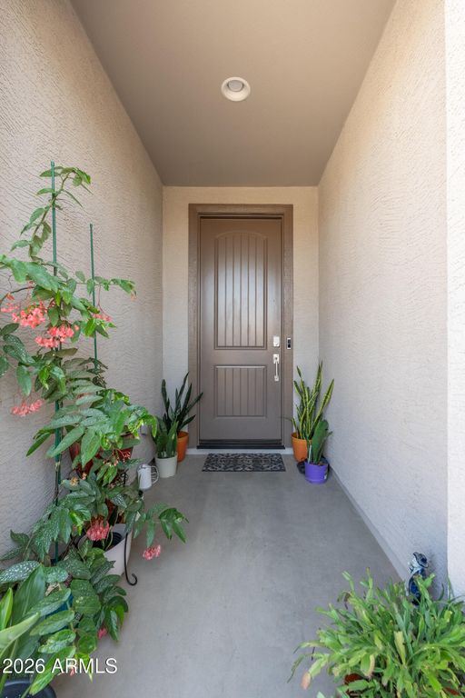3317 E HAYFIELD Way, San Tan Valley, AZ 85140 — photo 4