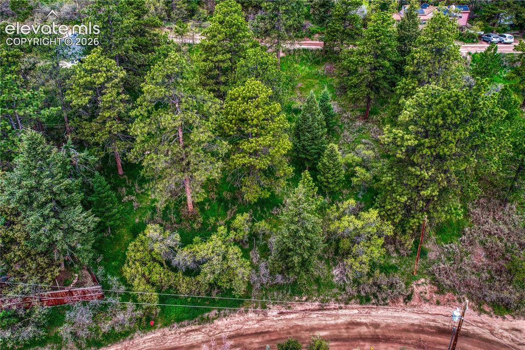 Virginia Avenue, Palmer Lake, CO 80133 — photo 4