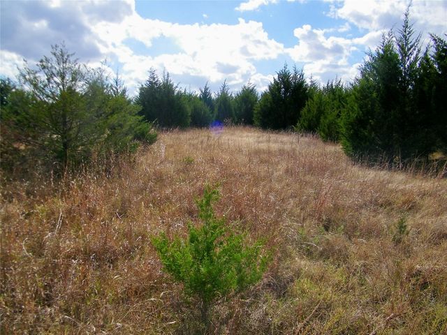 E 1020 Road, Prague, OK 74864