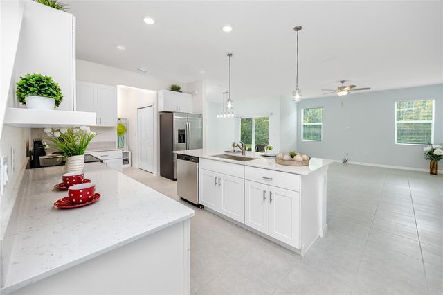 17718 NECTAR FLUME DRIVE, Land O Lakes, FL 34638