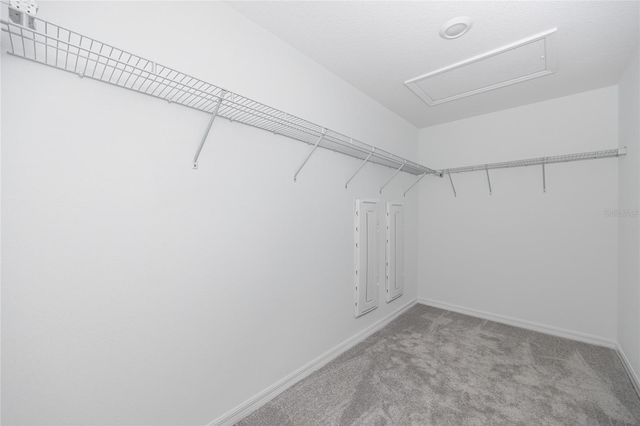 17718 NECTAR FLUME DRIVE, Land O Lakes, FL 34638