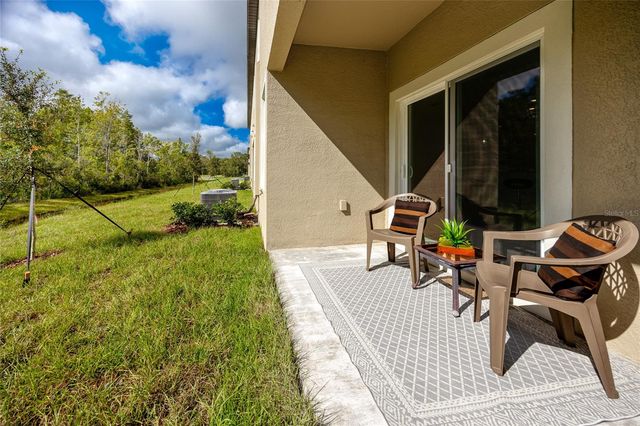 17718 NECTAR FLUME DRIVE, Land O Lakes, FL 34638