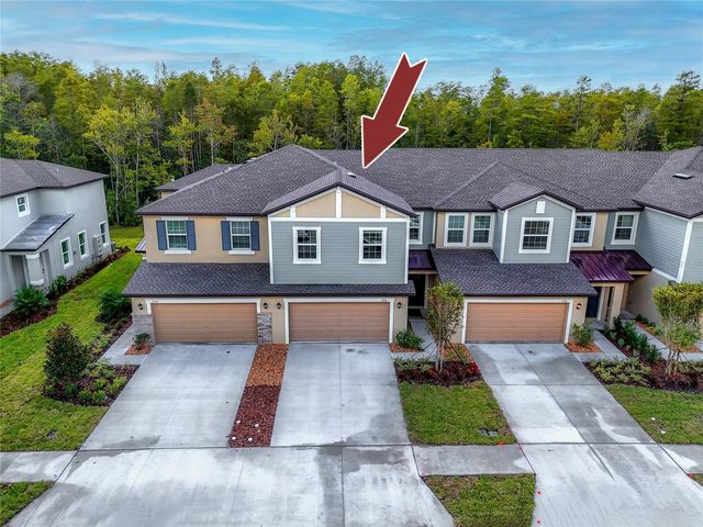 17718 NECTAR FLUME DRIVE, Land O Lakes, FL 34638