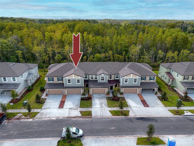 17718 NECTAR FLUME DRIVE, Land O Lakes, FL 34638