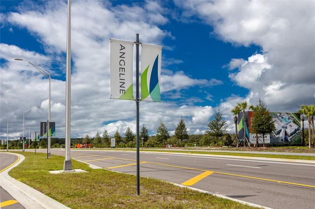 17718 NECTAR FLUME DRIVE, Land O Lakes, FL 34638